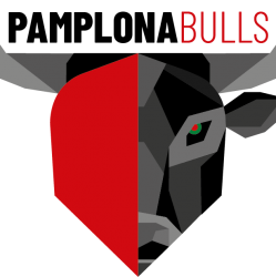 Pamplona Bulls